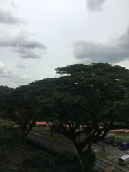 Blk 81 Commonwealth Close (Queenstown), HDB 3 Rooms #397753641